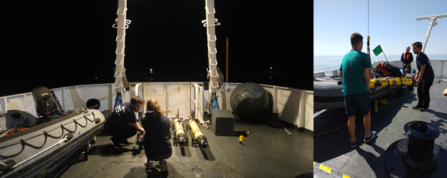 LSTS, CIIMAR and CESAM team members preparing AUVs for deployment during the SNoW exercise, in REP18.